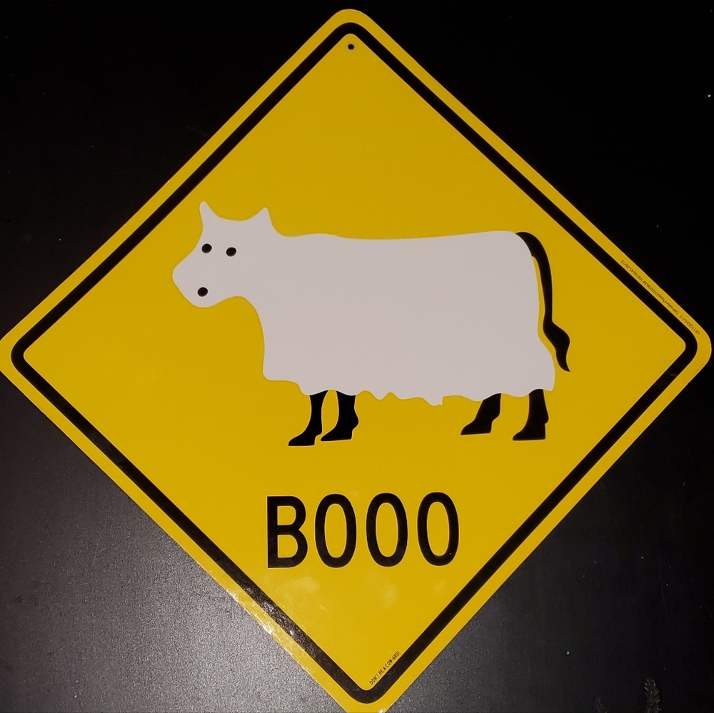 Halloween Double-Sided Yellow Street Style Sign